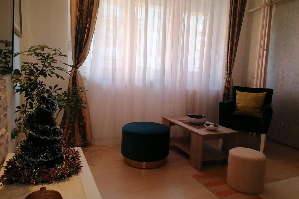 Oasis Felix Apartment Belgrad Zewnętrze zdjęcie
