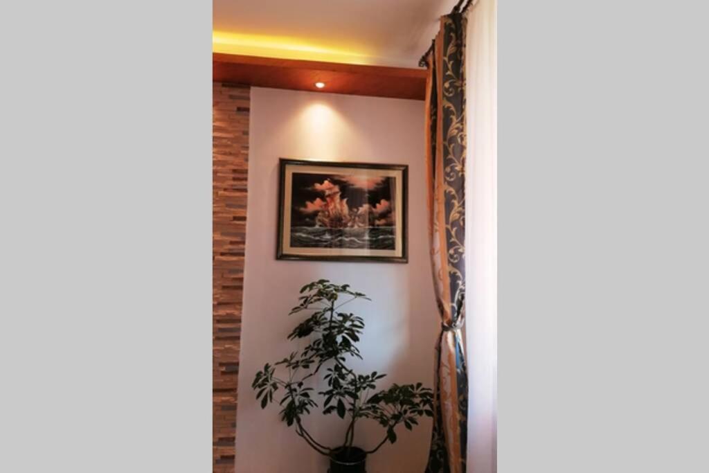 Oasis Felix Apartment Belgrad Zewnętrze zdjęcie
