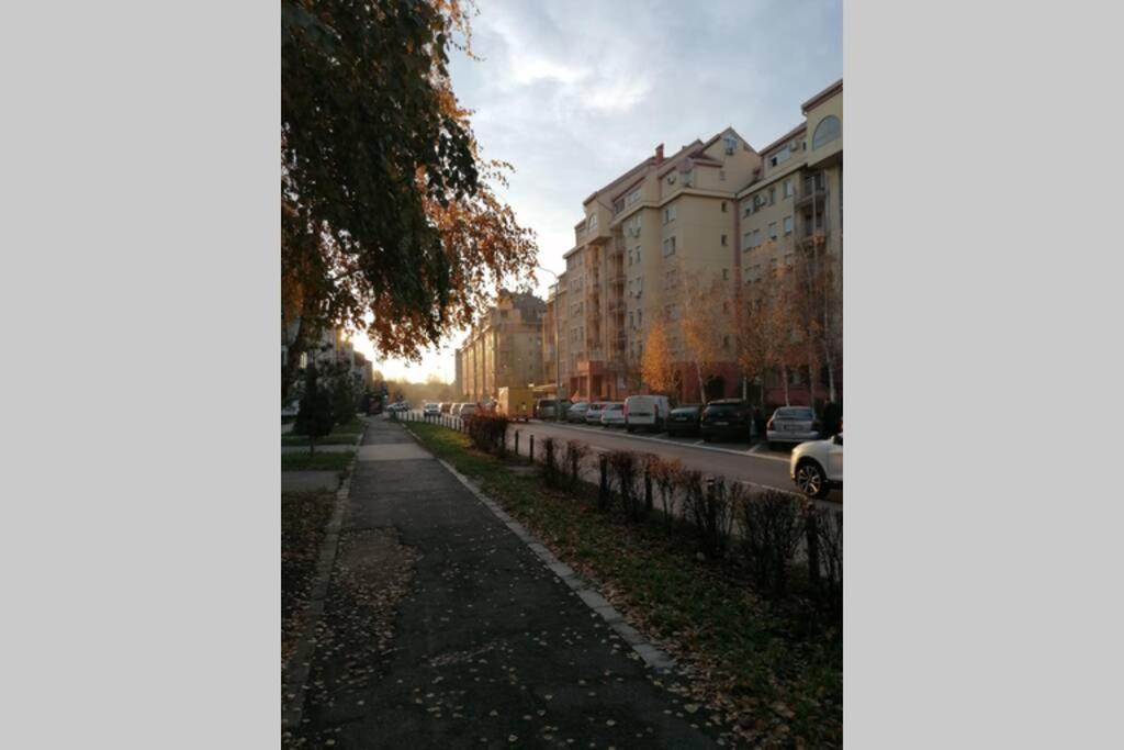 Oasis Felix Apartment Belgrad Zewnętrze zdjęcie